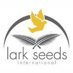 Модар F1 - баклажан, 1 000 семян, Lark Seeds (Ларк Сидс), США фото, цена